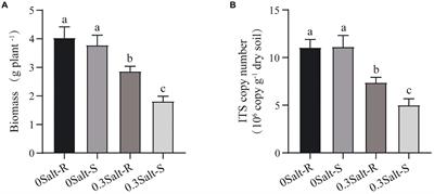 Salt altered rhizosphere fungal community and induced soybean recruit specific species to ameliorate salt stress